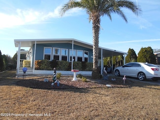 8419 Mohican Ave, Brooksville, FL 34613