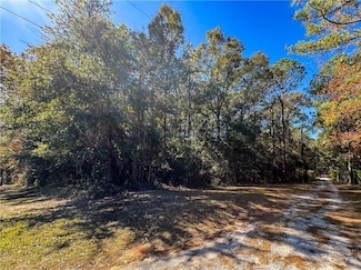 0 Baxter Rd, Wilmer, AL 36587