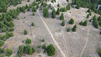 TBD Caledonia St, Butte, MT 59701