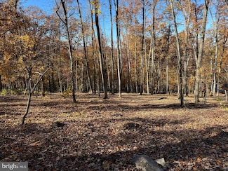 0 Digging Bear Ln Unit VALO2111584, Purcellville, VA 20132