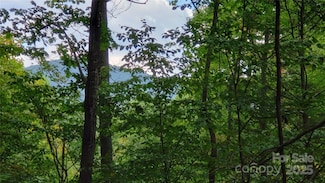 437 Blue Mist Way Unit 186, Arden, NC 28704