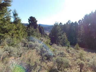 NHN Flume Gulch, Rocker, MT 59701