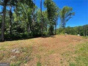 1111 Dockside Dr, Buckhead, GA 30625