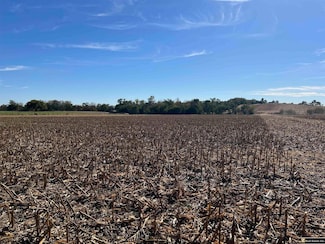 Parcel 3 Spring Saunders County Acreages County Rd, Yutan, NE 68073
