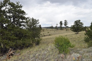 77 Kames Cir Unit 24, Hartsel, CO 80449