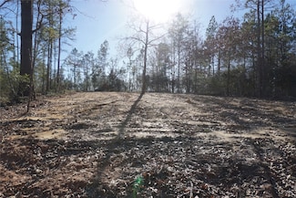 9301 Private Road 2851 Tract 2, Buffalo, TX 75831