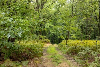 00 V L S Wolf Lake Rd Unit LotWP001, Fruitport, MI 49415
