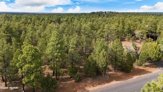 1820 S Monkshood Rd, Show Low, AZ 85901