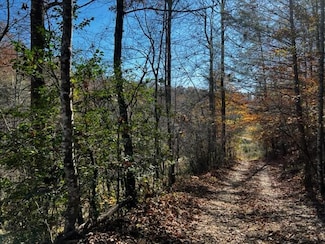 9999 Larison Rd, Zoe, KY 41397