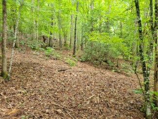 00 Wildcat Rd, Pickens, SC 29671