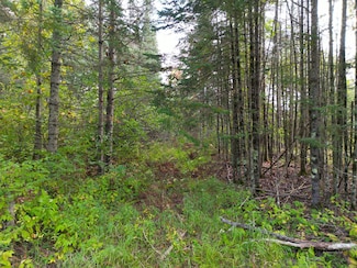 13450 Swedish Hwy, Dairyland, WI 54830