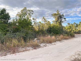 400 Wayside Ave, Sebring, FL 33872