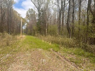 000 Downs Rd, de Valls Bluff, AR 72041