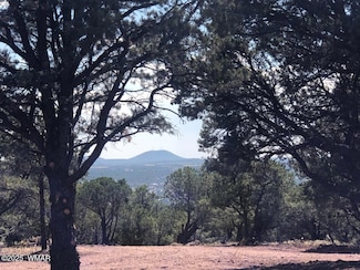 Lot 20 Mountain Pine Rd, Vernon, AZ 85940