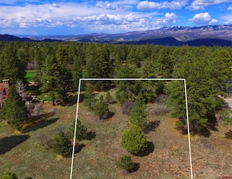 170 Puma Ln, Loghill Village, CO 81432