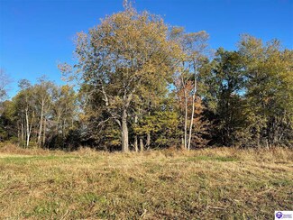 Tract 11 Little Clifty Rd, Big Clifty, KY 42712