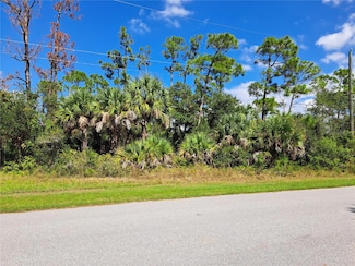 15010 Carousel Ln, Port Charlotte, FL 33953