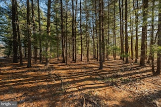 365 Creek Rd, Delran, NJ 08075