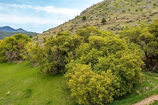 TBD W Merle St, Lava Hot Springs, ID 83246