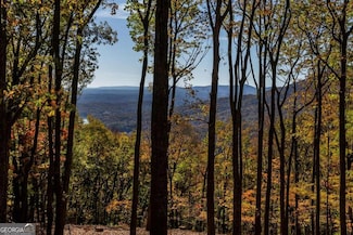 40.5 ac Windsong, Jasper, GA 30143