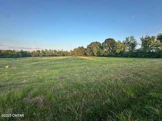 0 Old Trezevant Rd, Trezevant, TN 38258