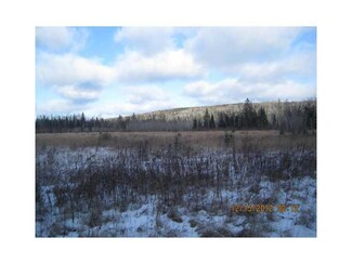 171 Margison Rd, Woodland, ME 04736
