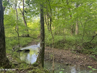 1440 Dry Fork Valley Rd, Ten Mile, TN 37880