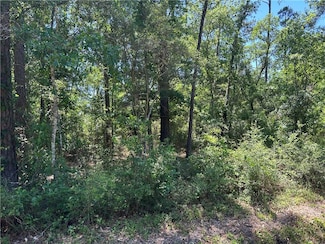 0 Seventh St Unit 2462801, Stennis Ctr, MS 39520