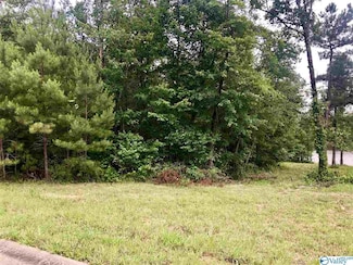 23 Azalea Trail, Centre, AL 35960