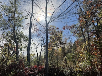 4 Clyde Webb Rd, Tennessee Ridge, TN 37178