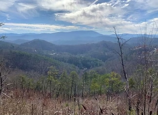 1060 Rayfield Hollow Way, Sevierville, TN 37862