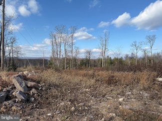 0 Capon Woods Resort Rd Unit WVHS2005424, High View, WV 26808