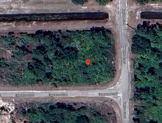 1257 Edgewood St E, Lehigh Acres, FL 33974