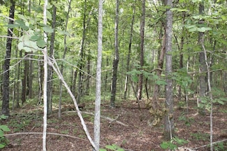 804 Dryburg Rd, Scottsburg, VA 24589