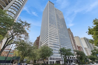 1100 N Lake Shore Dr Unit 17C, Chicago, IL 60611