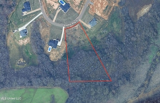 13135 Pebble View Dr, Byhalia, MS 38611