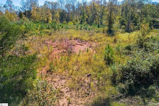00 Mount Shoals Rd, Enoree, SC 29335