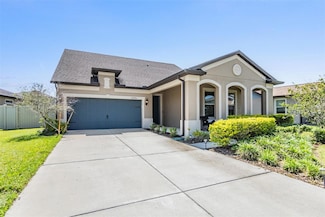 8296 Olive Brook Dr, Wesley Chapel, FL 33545