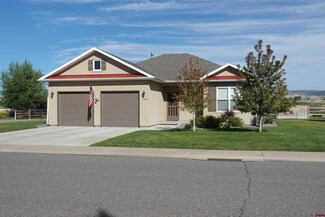 2016 Otter Pond Cir, Montrose, CO 81401