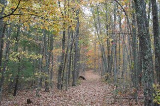 3400 Cole Mountain Rd, Hiwassee, VA 24347