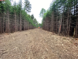 38 Kings Timber Way, Freeport, ME 04032