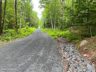 225 Ackerley Rd, Conesville, NY 12076