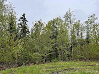 TBD Harborview Lot 13 Dr, Munising, MI 49862