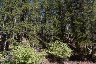 Tbd Last Chance Me L-3596, Neihart, MT 59465