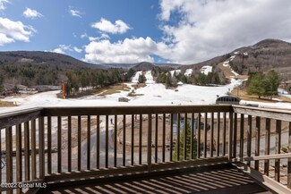 64 Klein Ave Unit 507, Hunter, NY 12442