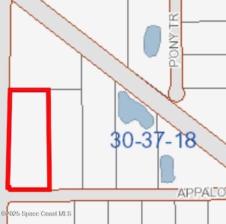 348 Appaloosa St, Palm Bay, FL 32909