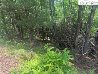 TBD Deerwood Rd Unit 58, Sparta, NC 28675
