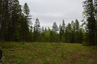 2931 Witty Ln, Columbia Falls, MT 59912