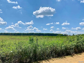 4 County Road 508, Fort Payne, AL 35967