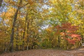 0 Queensferry Ln Unit 1319022, Bella Vista, AR 72715